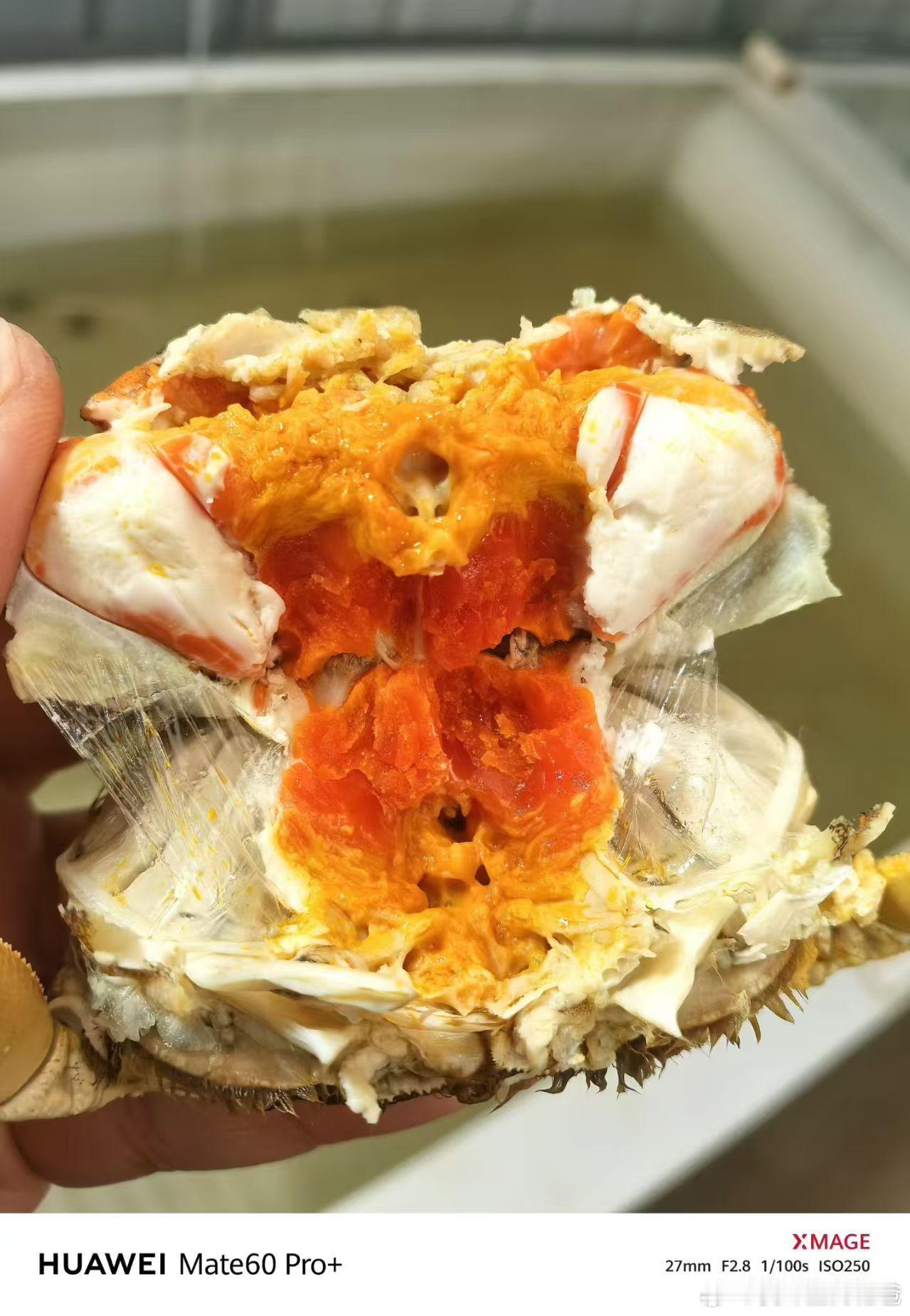 这么好的蟹，大家却不吃，太伤心了！
