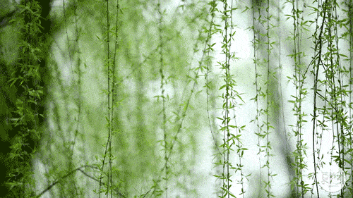 上联：春风撩醉溪边柳下联：冬雪捂香院内梅上联意为：春风撩醉溪边柳，顾名思义，
