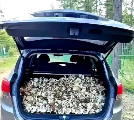 兄弟把车借给我，还车时说留了谢礼。我打开后备箱一看，直接惊呆了！评论区都炸了，都