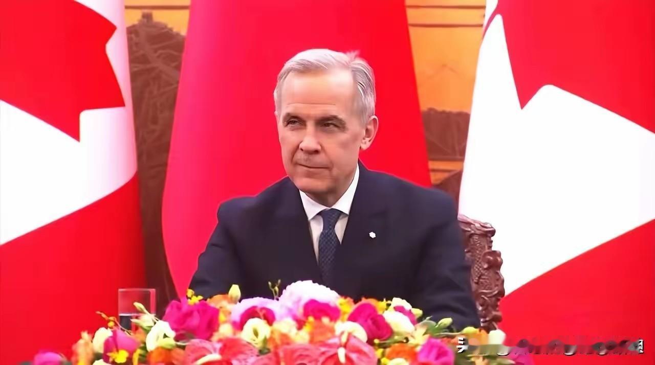 根据我的看法，总觉得加拿大这个国家靠不住，成不了真正的朋友。别看这个加拿大总理卡