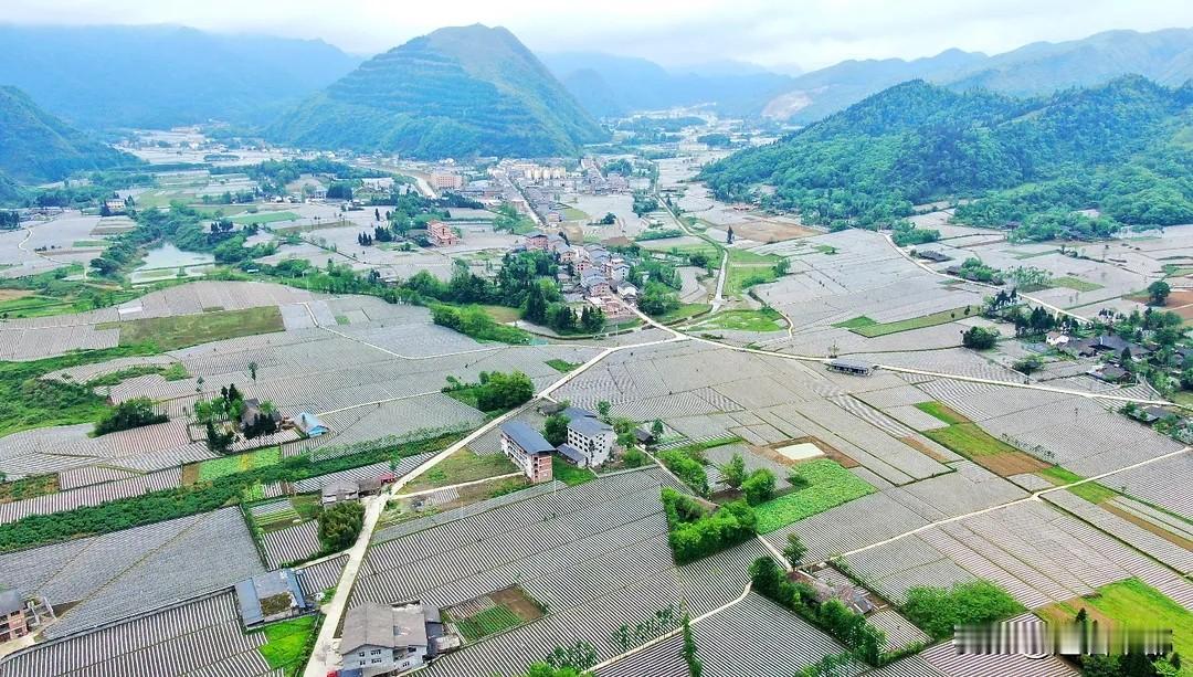 藏在丰都深山里的“云上坝子”！云海、古迹与避暑宝藏都在这在丰都东南边陲的群山