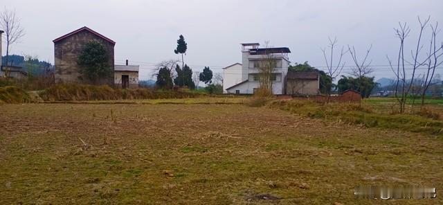 中央1号文件公布！农村大洗牌，2026年起，这几类人要吃香了2026年2月初