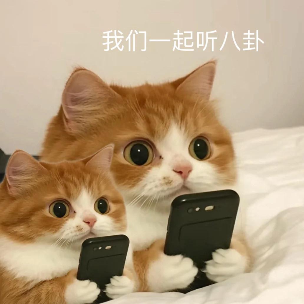 真敢问啊🤩​​​