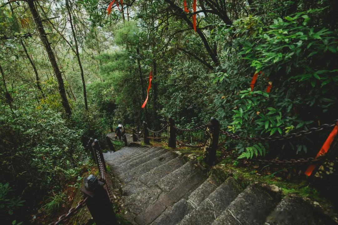 ✨雨锁云峰｜腾冲初秋，赴一场云雾山林与古观之约初秋的腾冲，一场细雨把云峰山晕染成