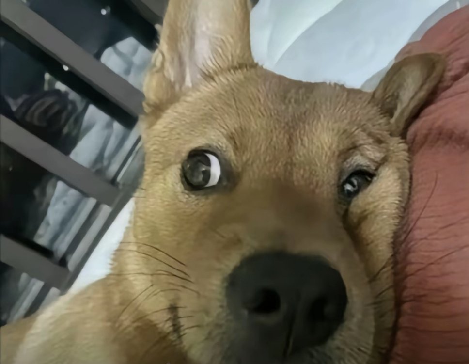 此时此刻的你​​​