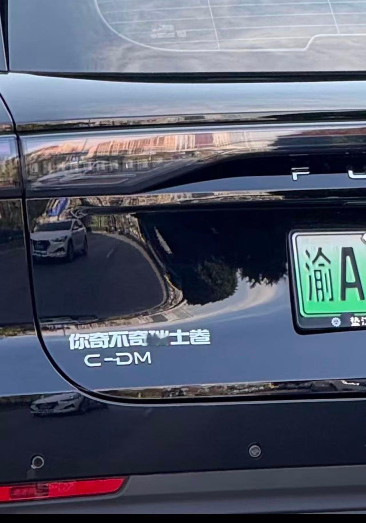 来个投稿：你奇不奇瑞士卷啊？