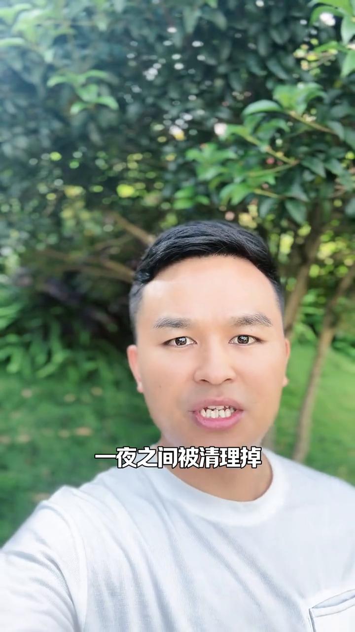 一夜清零，重庆最火花海没了。火爆全重庆的绿心公园马鞭草花海已经被全部清除了，所