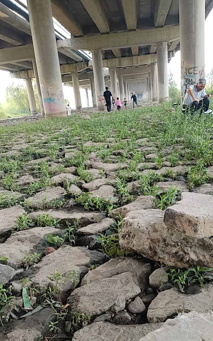 如今网上对农民养老问题众说纷纭。我认为，要理清问题的脉络，国家需精准善待70岁以
