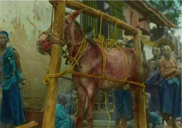 从前有个财主，家里有200亩良田，专门雇了个苦力耕种。财主对苦力说：“你努力干，