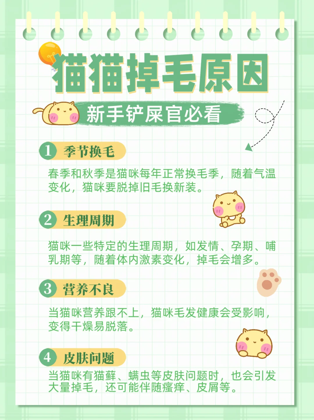 新手铲屎官速看/猫咪掉毛的原因及护理方法～