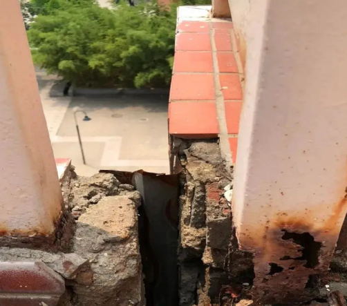 郑州学生坠楼事件, 已成立调查组