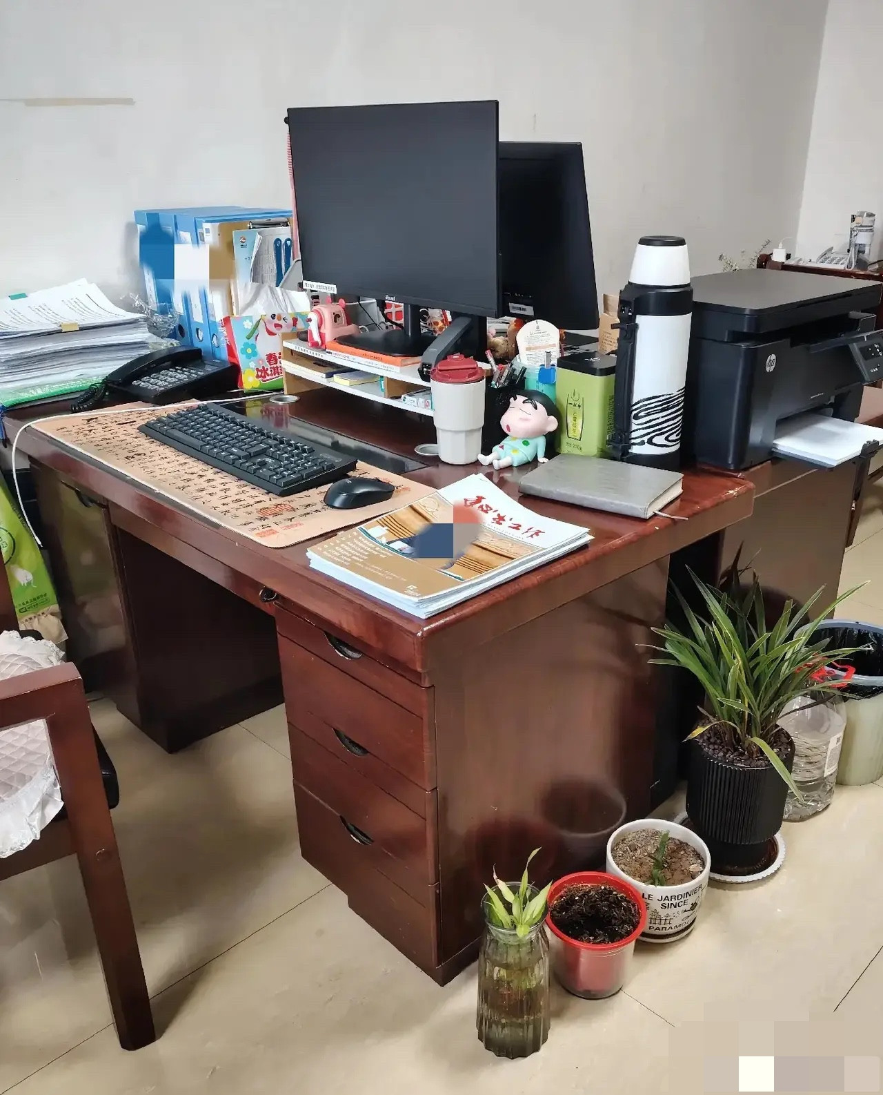 体制内的办公室，为什么都喜欢放花盆？