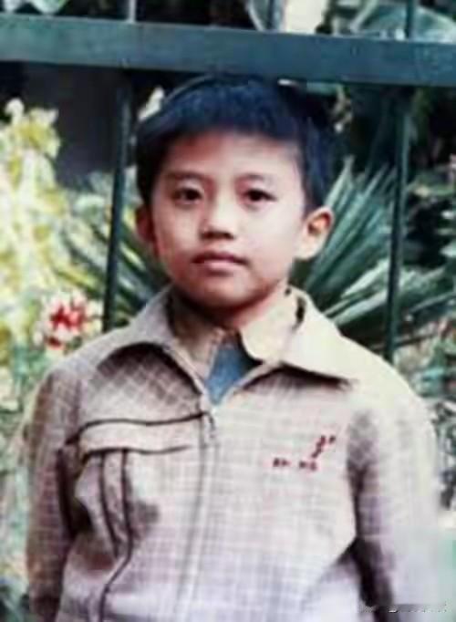 这是邓超小时候的照片，显然邓超从小就有桀骜不驯，遇事不急不躁的大哥风骨。