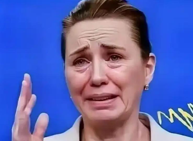 丹麦政府痛恨中国，丹麦的外交大臣拉斯穆森表示，过去不允许中国对格陵兰岛投资，现在