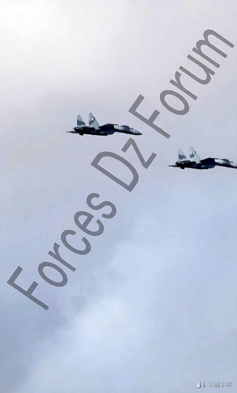 ⚡🇩🇿🇷🇺✈️阿尔及利亚空军首次被发现有两架苏-35战斗机正在执