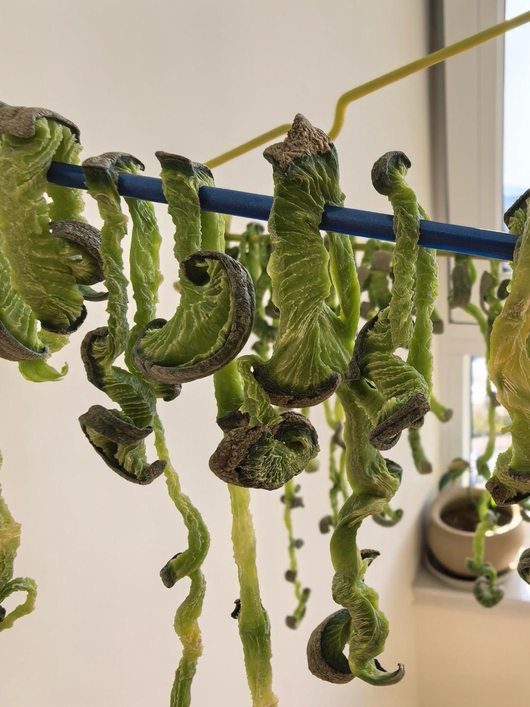 这萝卜晒好了吗