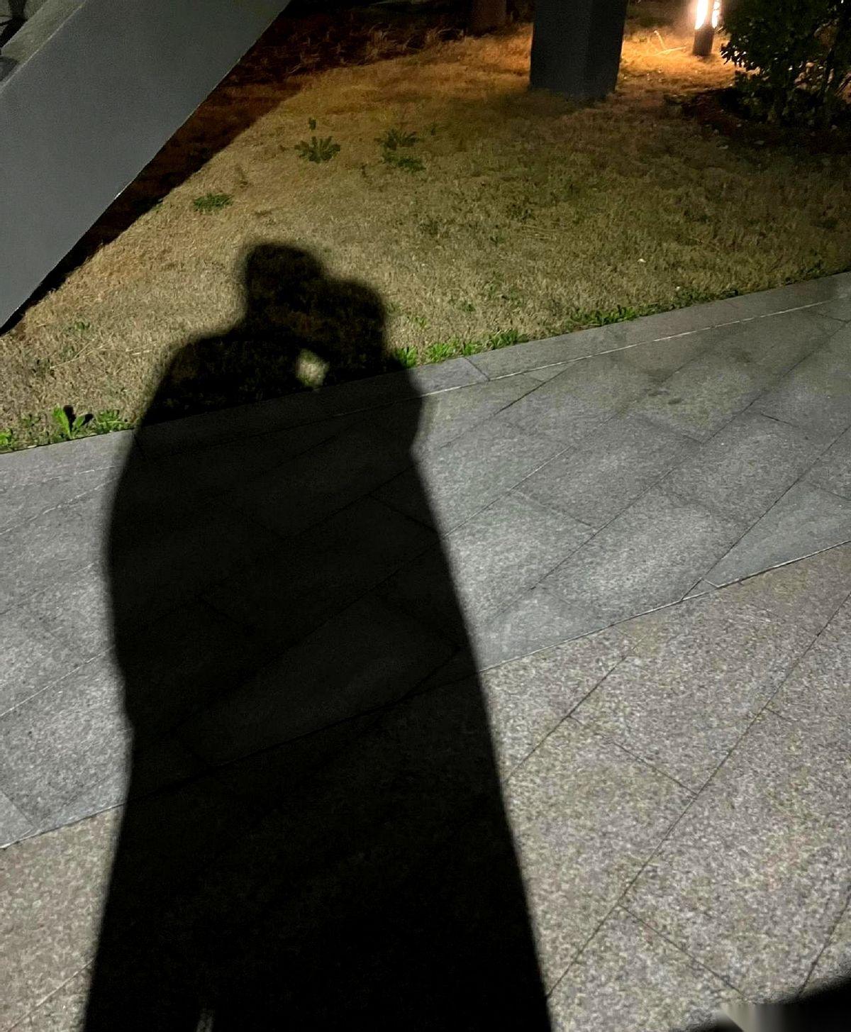 沙发上，灯光调得有点暗，她靠过来，眼睛亮晶晶的。心跳漏了一拍。她凑近，呼吸喷在