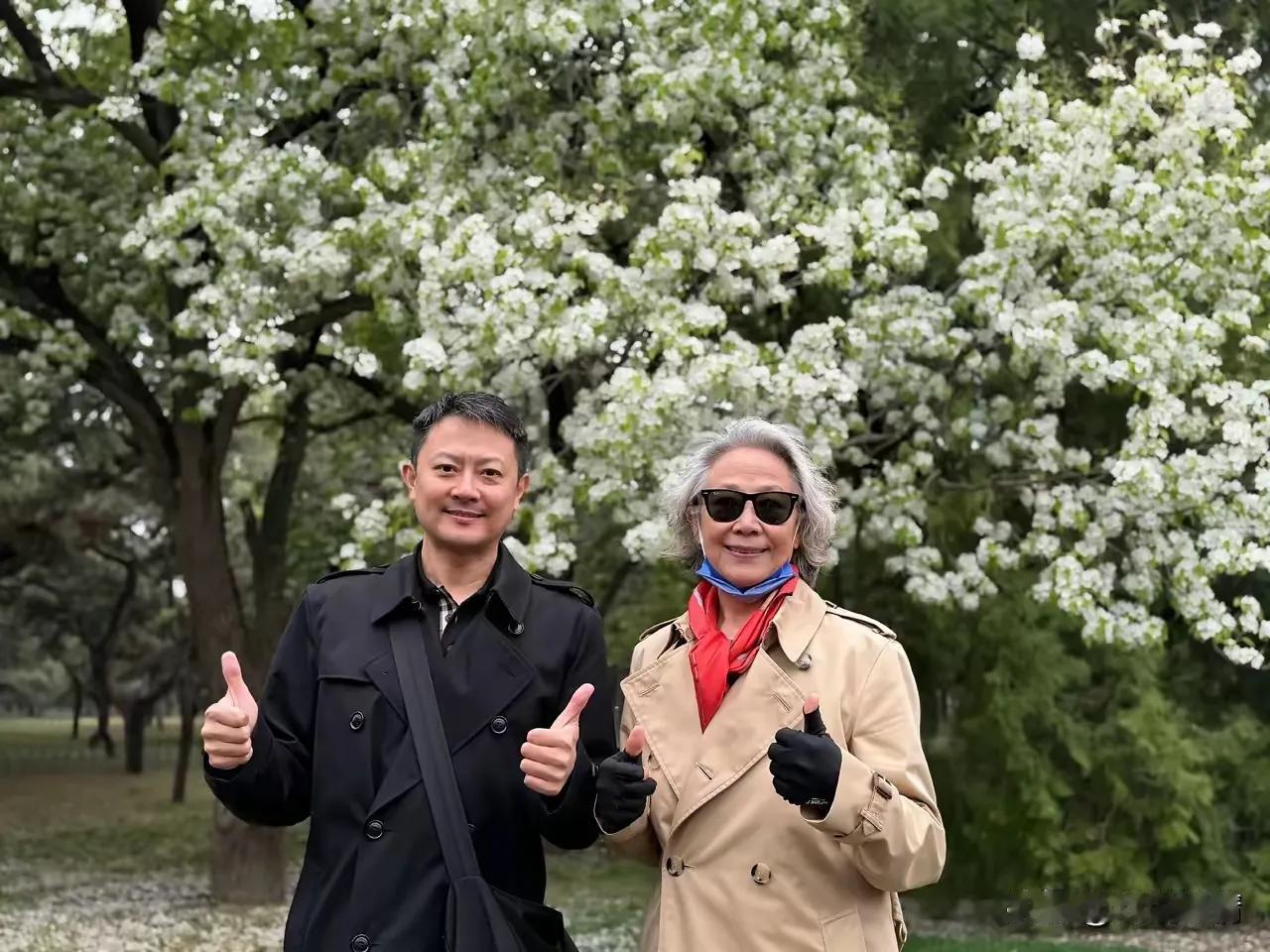 花开花落，岁月静好。