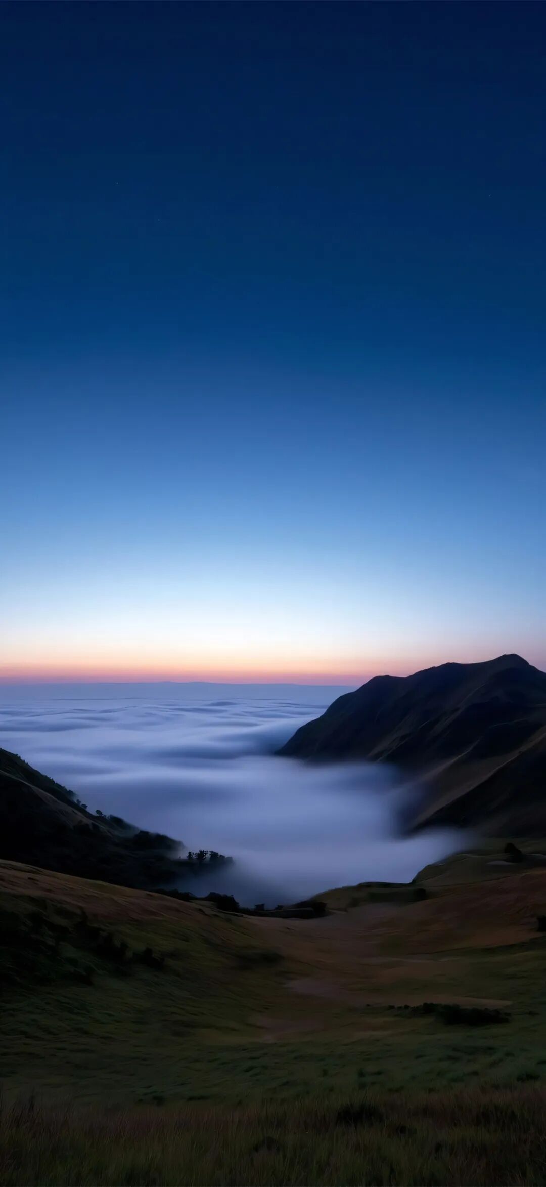 太阳虽好，总要诸君亲自去晒，旁人却替你晒不来。𝙒𝙚𝘾𝙝𝙖𝙩｜背景图分享｜手机壁纸｜背景图