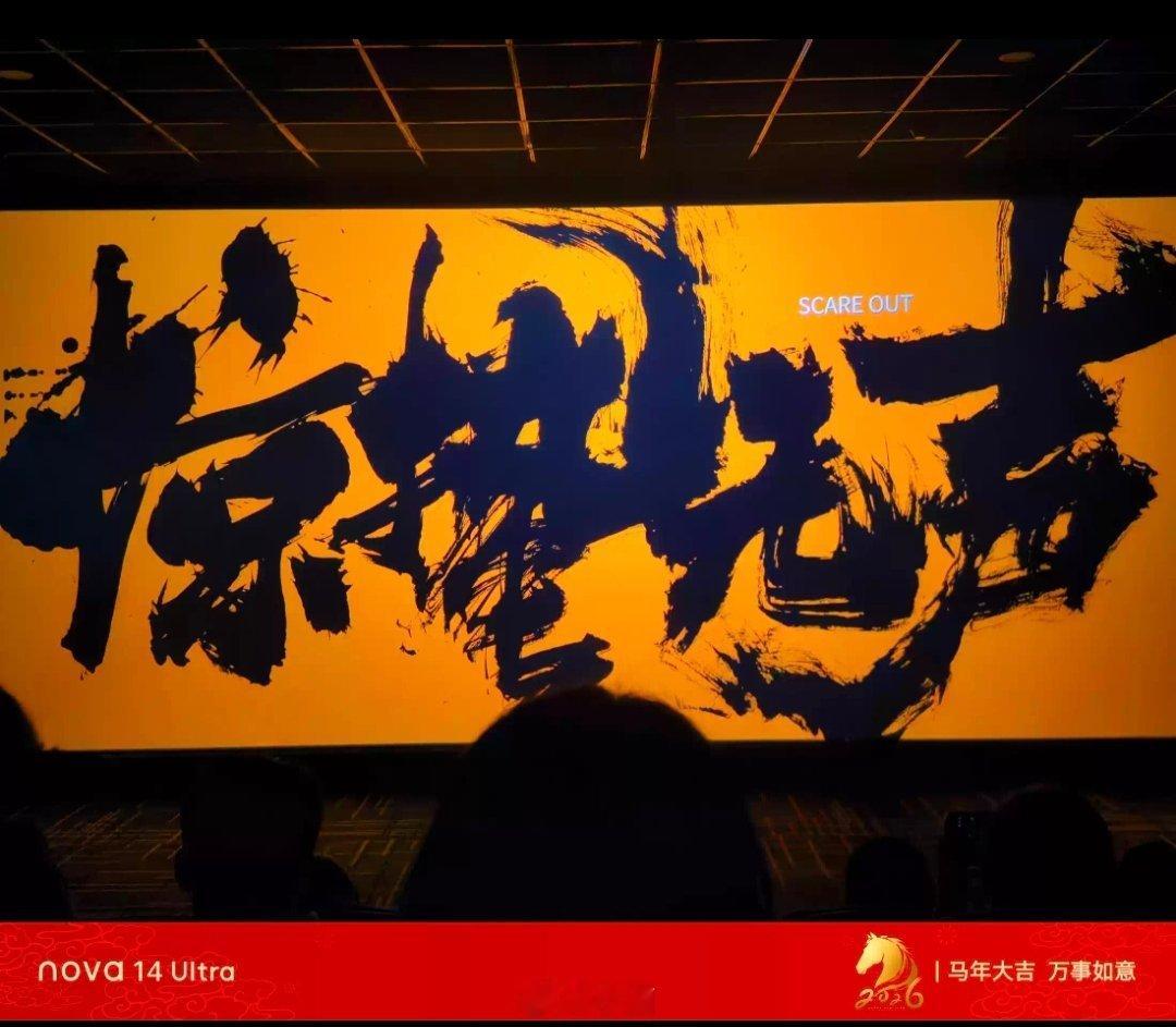 谍战电视剧我经常看，但是谍战影片我是头一次看，尤其是当代谍战《惊蛰无声》挺敢拍的