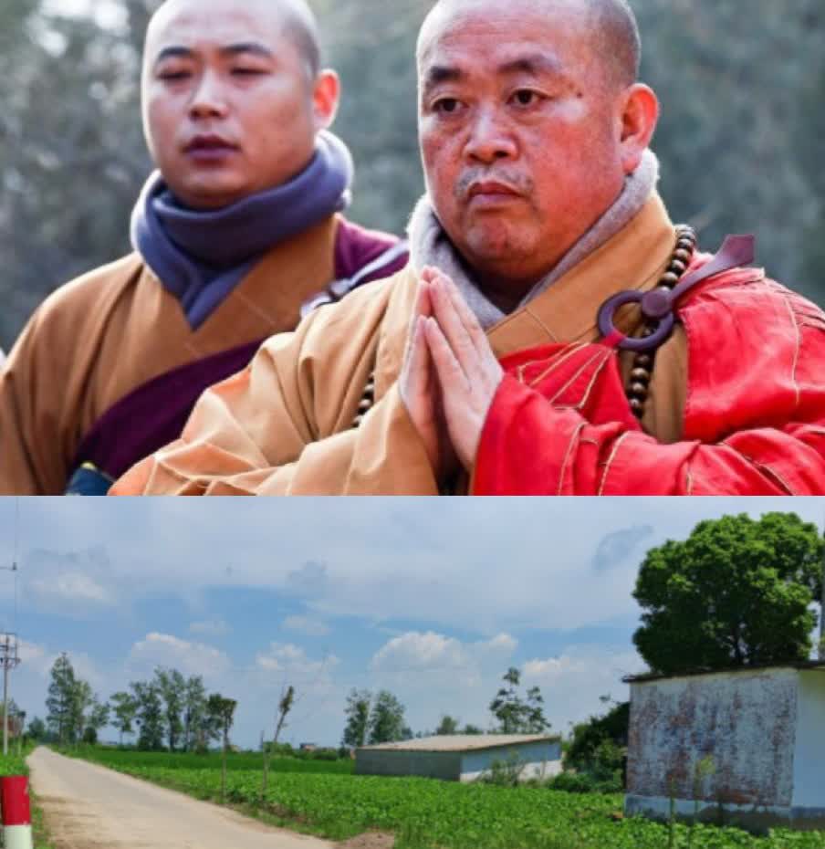 真是越扒越有释永信的老家有一条路，竟然叫永信路现