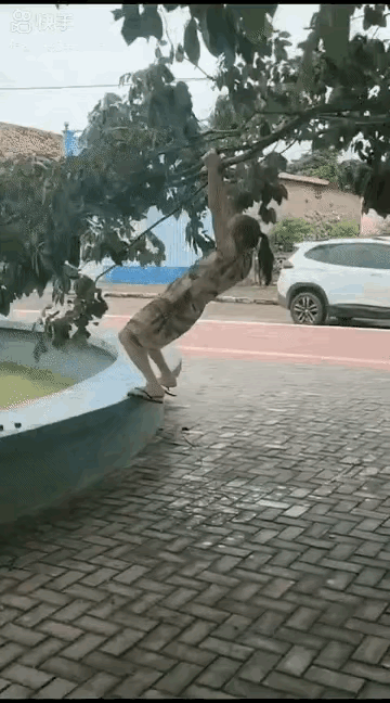 不知道大妈练的是什么功[捂脸哭]