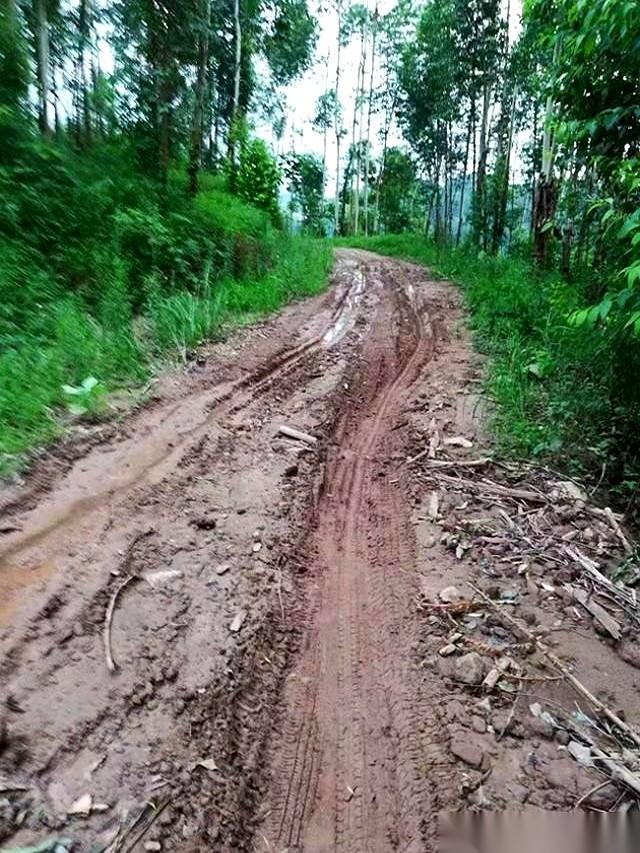 人死了，还得为一条没修的路交钱。你没听错，按“半个人头”算，交500。这规矩