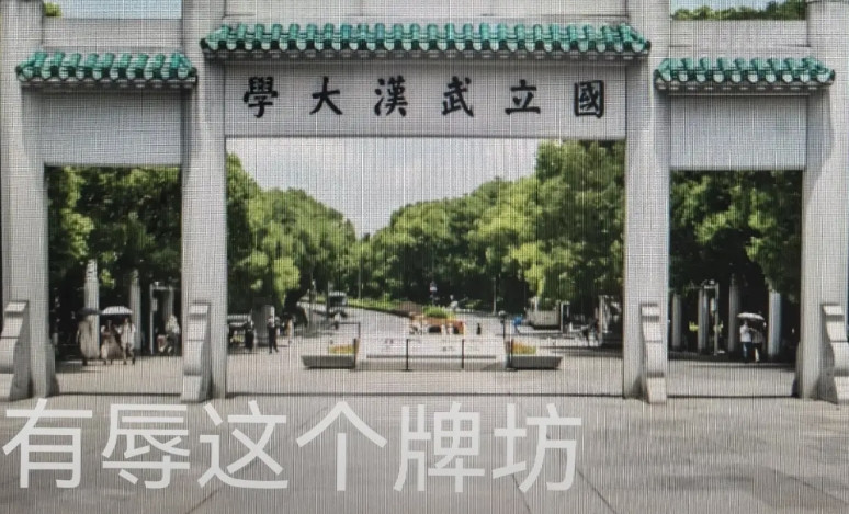 武汉大学杨景媛案十问1、事发后3天，杨景媛告到辅导员那里，辅导员上报，处理的