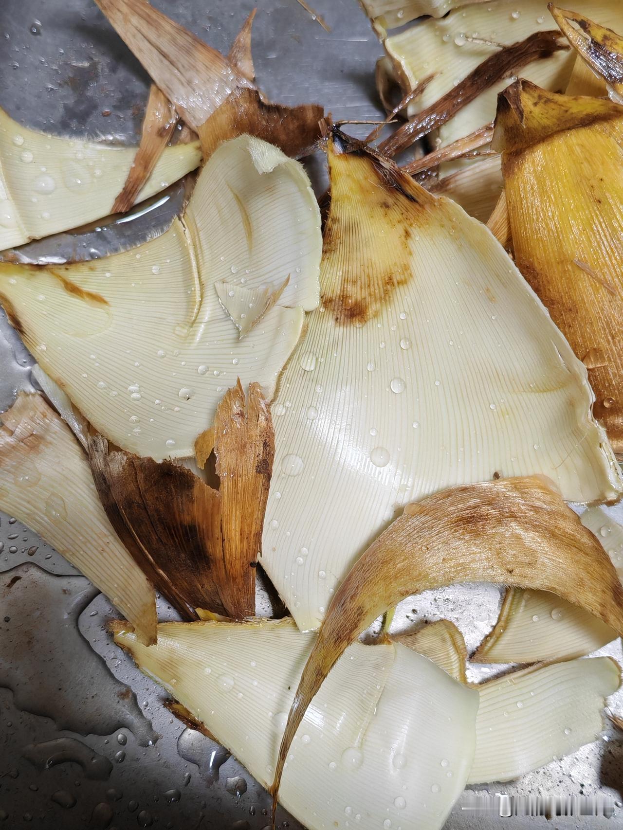 今年冬天的不同今年冬天，冬笋炒腊肉这道菜给家里餐桌添了别样风采。去了一趟蜀南竹