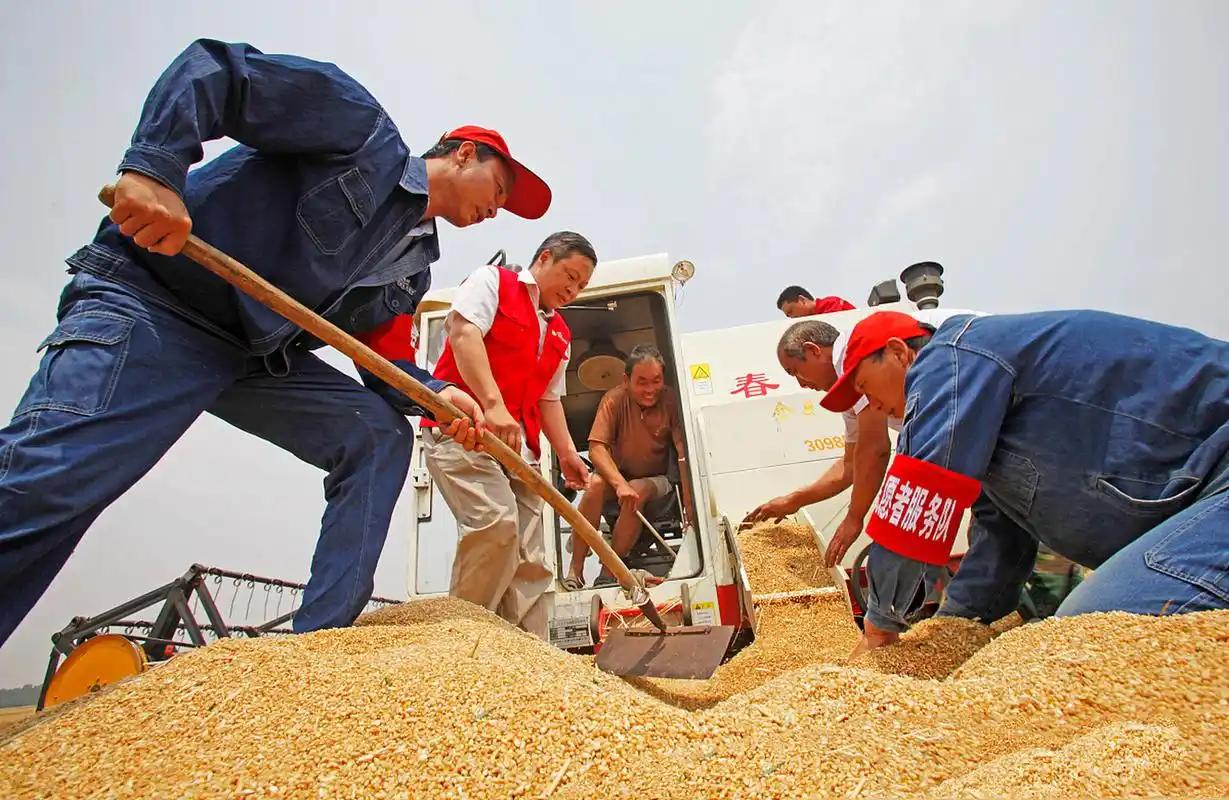 如果全球都停止出口粮食，中国能否自给自足？疫情刚开始时，印度欣喜若狂，立时切断粮