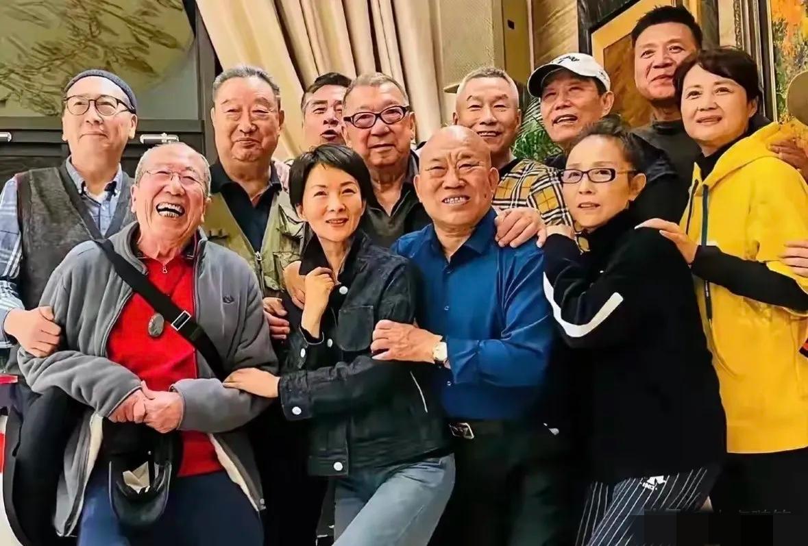 经典电视剧《大宅门》中众演员同框：前排我只认出了雷恪生，谢兰，杜旭东，茹萍；后排