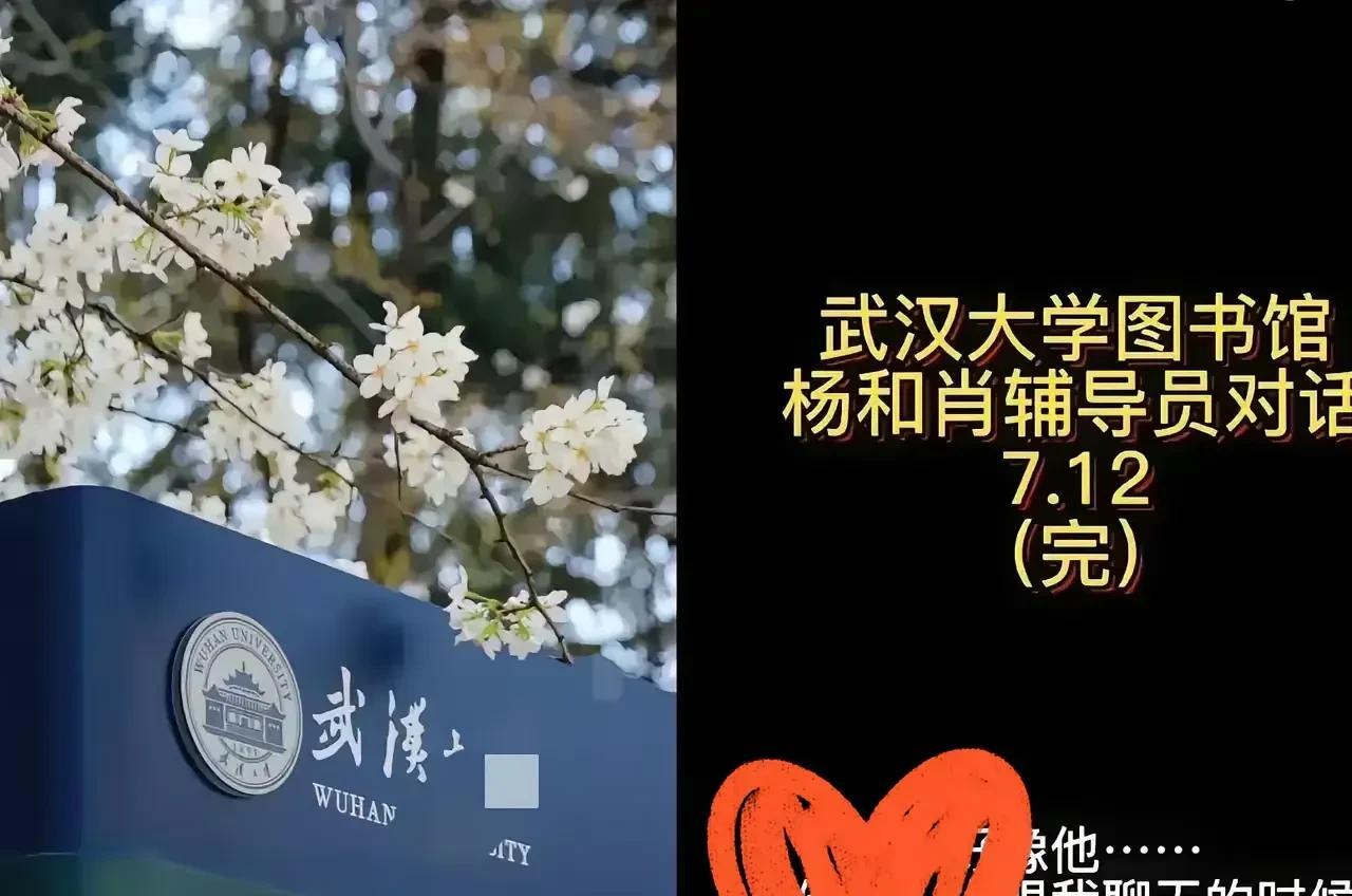 武汉杨某媛开始反击了，公开辅导员的录音就是第一步。接下来她的估计会借着录音拿