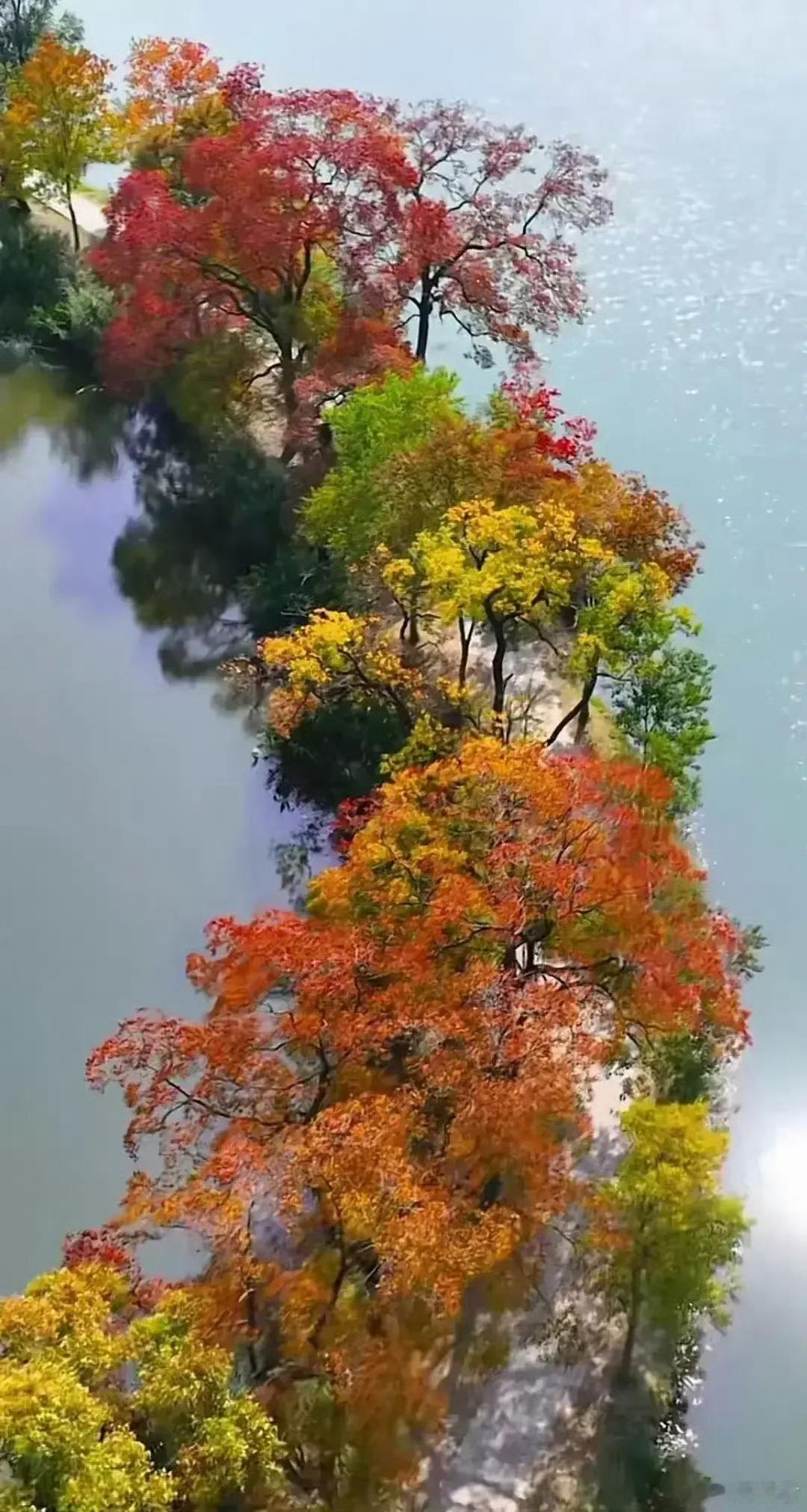 上联:秋染千堤树下联:？？？这个有点难吧