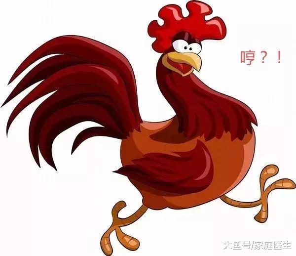 鸡头不能吃富集重金属有毒专家给出一个中肯的答案