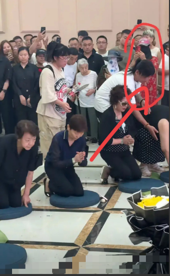 杨少华追悼会，义子杨进明来了很正常，儿媳妇梦真来了也很正常，但这个大姐属实