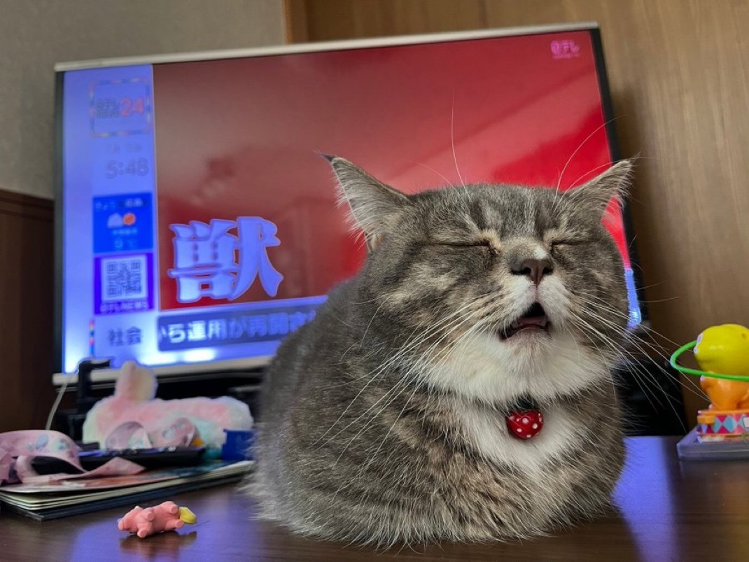 分享图片​​​