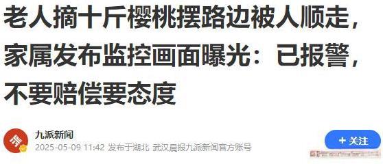 “这不明抢吗？”贵州毕节，一老人辛苦摘了十斤樱桃摆在路边，谁料，一转头的功夫全被