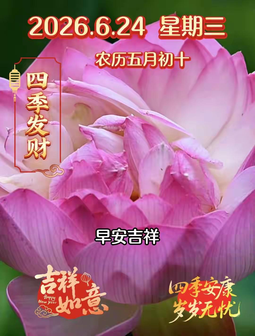 早上好，周三快乐！美好的时光总是一晃而过，温柔的六月带给我们无比幸福的美