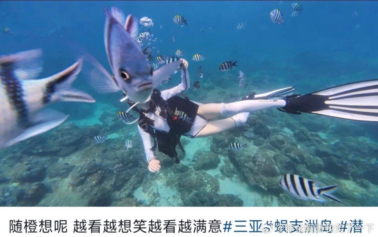 6196自己花钱反倒给一条鱼拍出了鱼生照片 