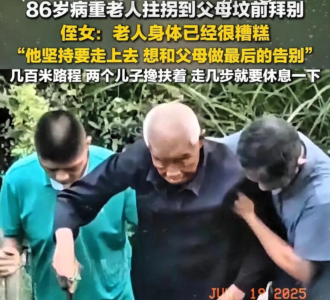 近日，刷到一则令人动容的视频：画面中，一位86岁高龄的老人，在病重之际，身体虚弱