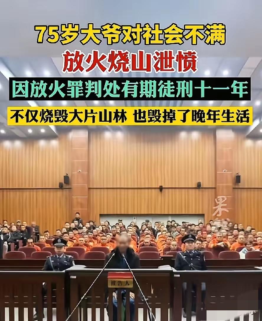 75岁大爷因对社会不满，放火烧山被判有期徒刑十一年，大家都说他烧毁了自己的晚年