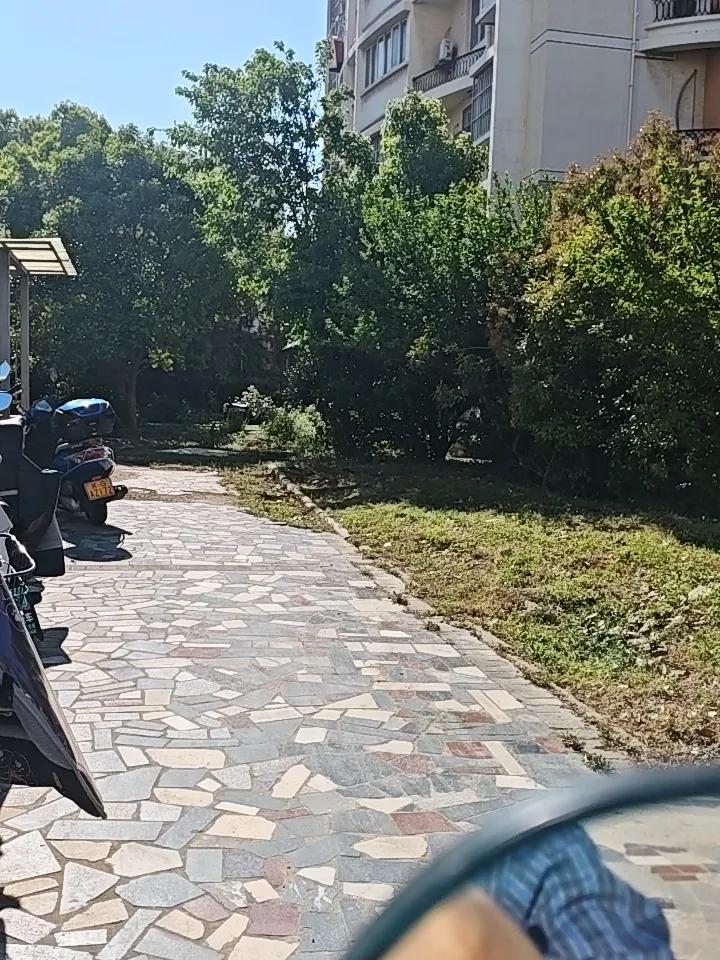 我的运动日常我的每天运动日常就是快走半小时，晚上饭后散步半小时，静蹲两组，每煮两