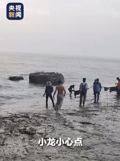 “被央视点名了！”在青岛跳海救人的张小龙找到了：北部战区海军现役军官，军衔“二毛