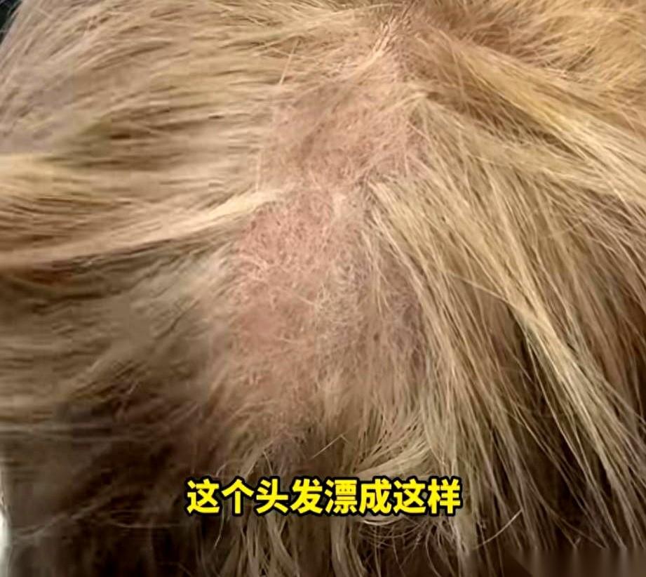 上海一个姑娘，只想去理发店补个发根。理发师抄起梳子，往她后脑勺一分，手里的梳子