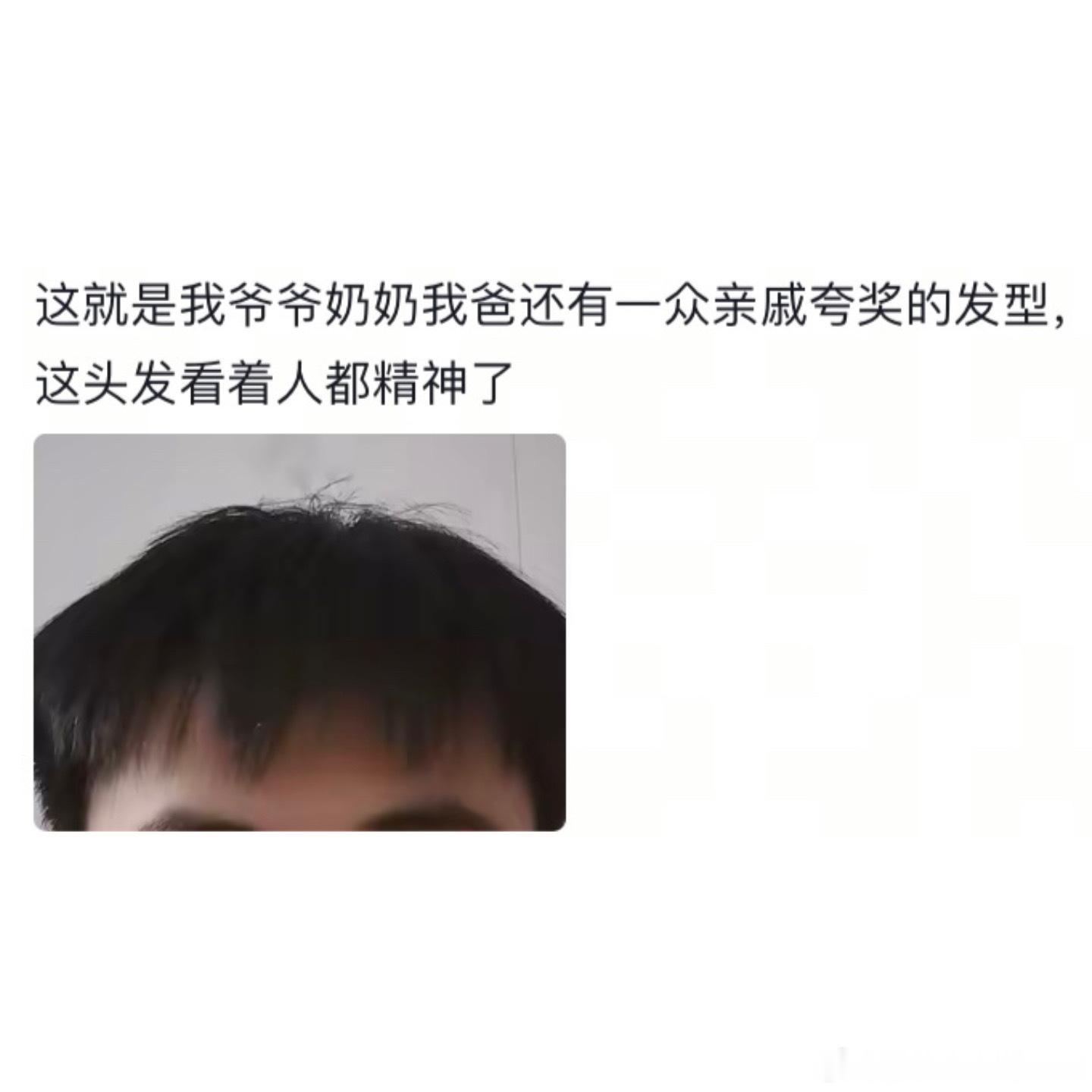 理发后被长辈夸的那刻就知道完了[跪了]遇见春天春日放个疯​​​