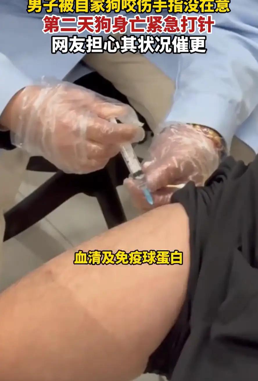 后怕！河南，男子养了一条狗，下班回家后看狗的状态不太好，就想上前摸一下，结果却被