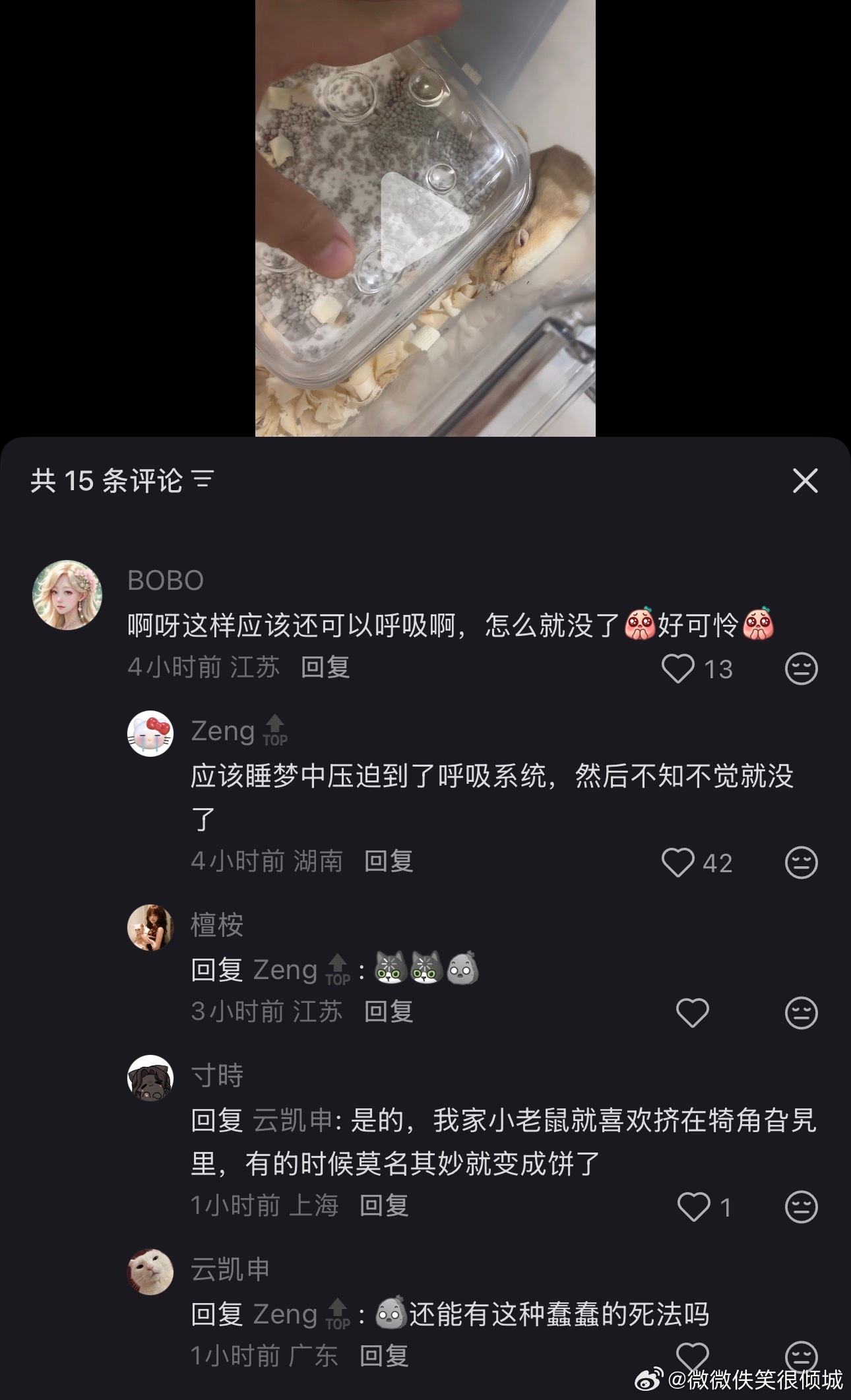 好笨