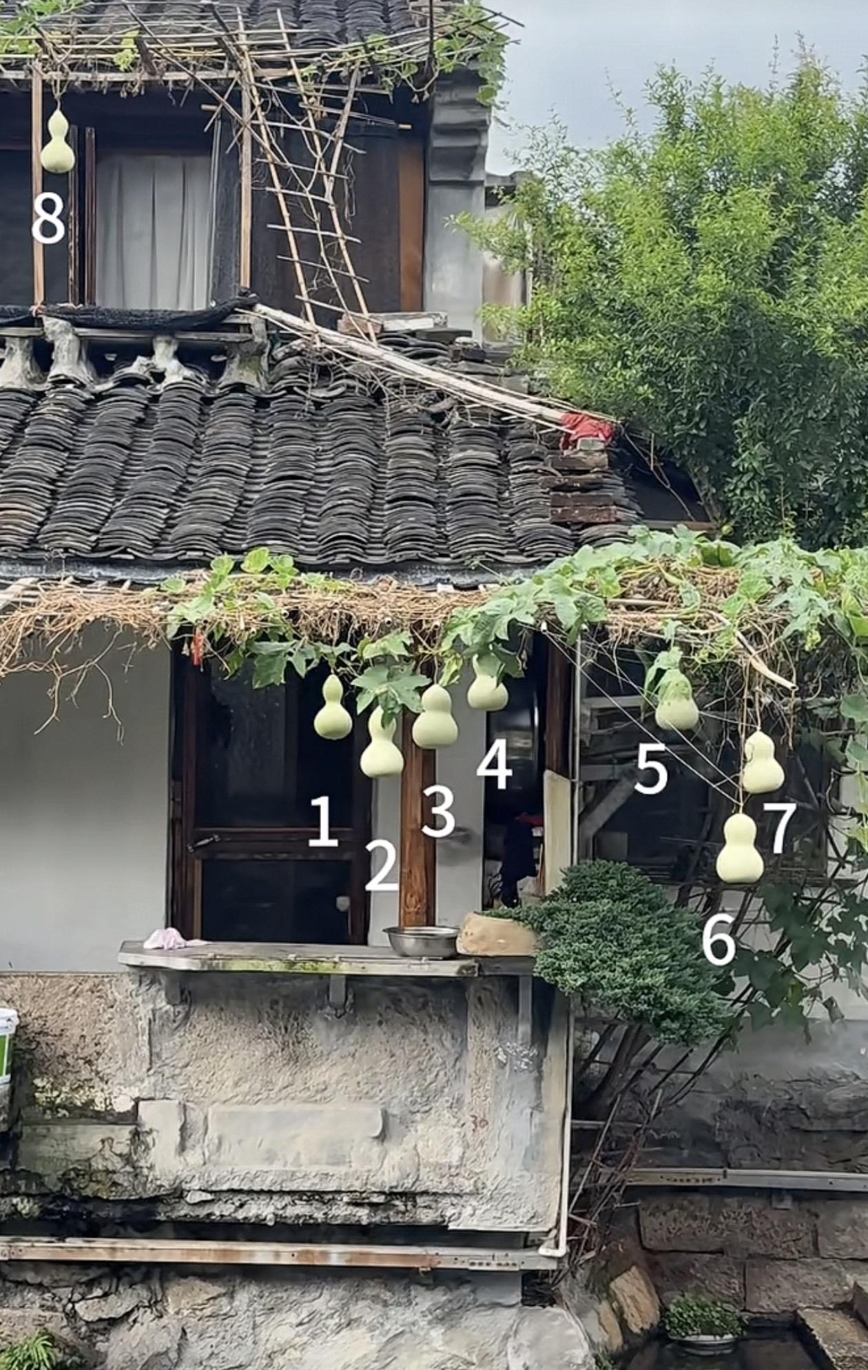 谁的童年DNA一下子动了！在绍兴老巷里面，现实版的葫芦爷爷真的被网友偶遇了。