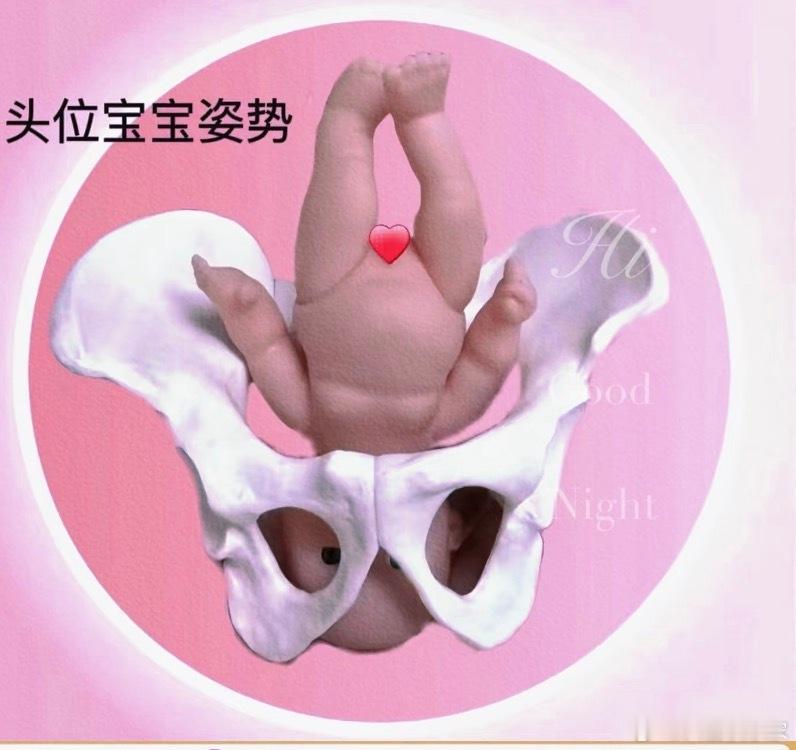 晚上刷朋友圈看到大美新疆、呼市、伊犁…忍不住和老公掉小珍珠说想出去玩小凯说生完明年就出去回想这一年实