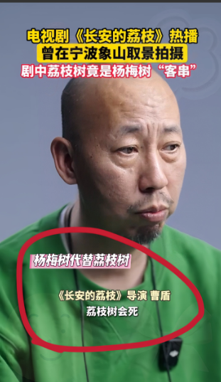 《长安的荔枝》陷'以梅充荔'争议！导演曹盾被批'偷懒式拍摄'，网友怒怼：经典不是糊弄出来的！